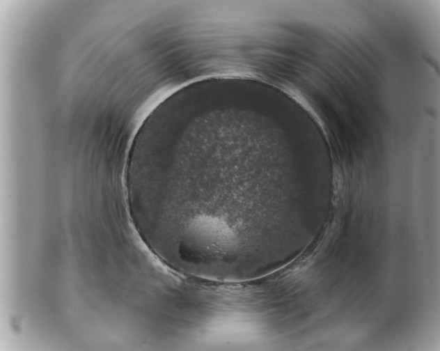 X0000102040959200807251411