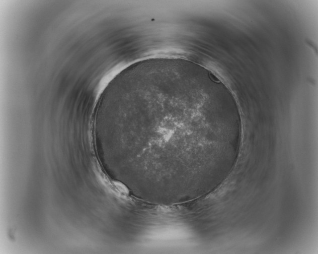 X0000102040960200807251411