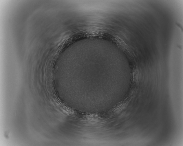 X0000102040961200807251411