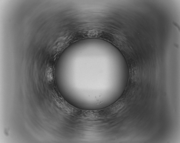 X0000102040962200807251411