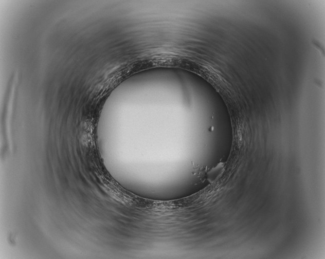 X0000102040964200807251411