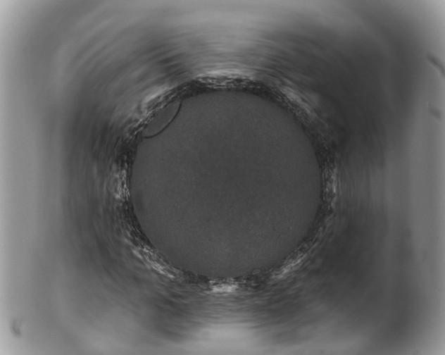 X0000102040965200807251411