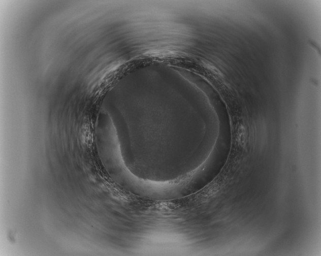 X0000102040966200807251411