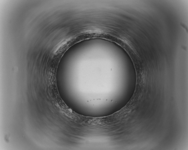 X0000102040967200807251411