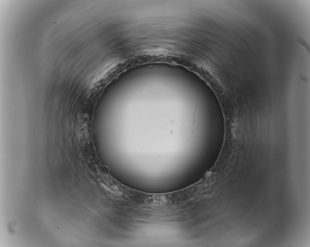 X0000102040968200807251410