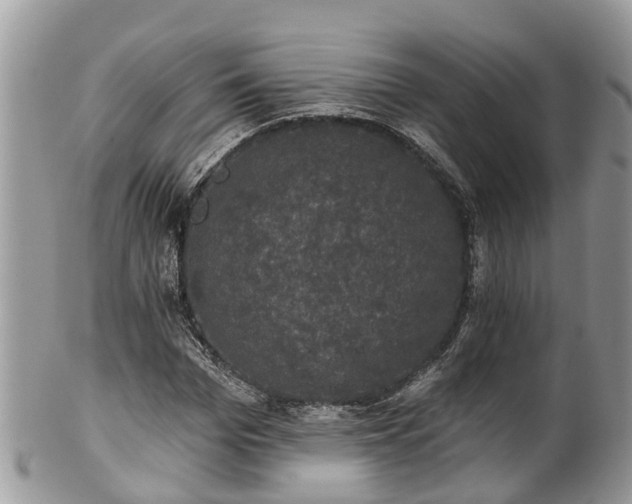 X0000102040969200807251410