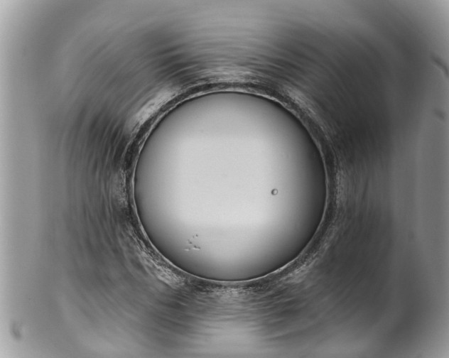 X0000102040970200807251410