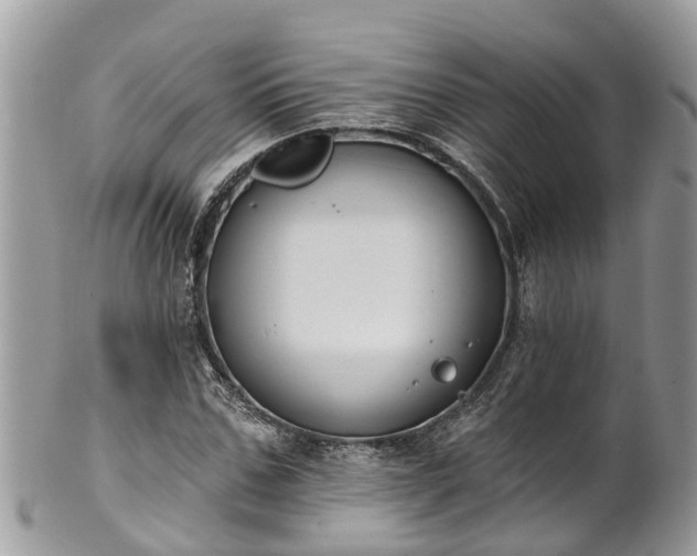 X0000102040971200807251410