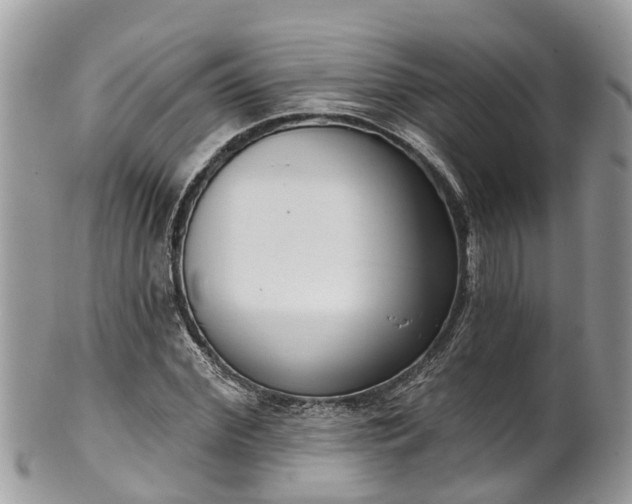 X0000102040972200807251410