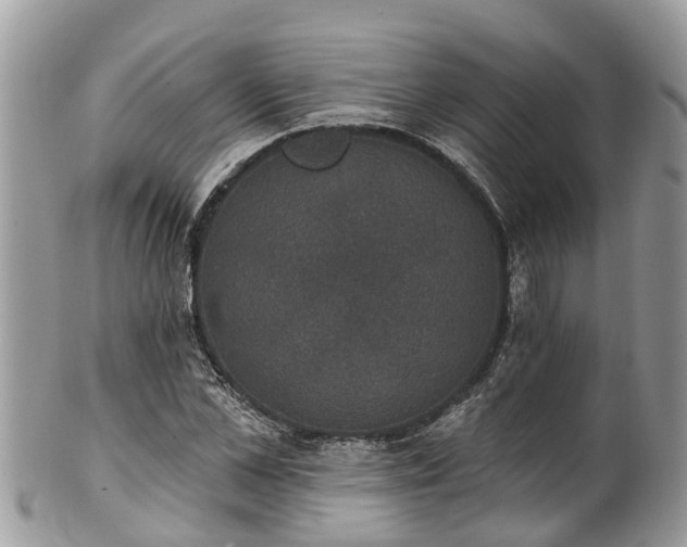 X0000102040973200807251410