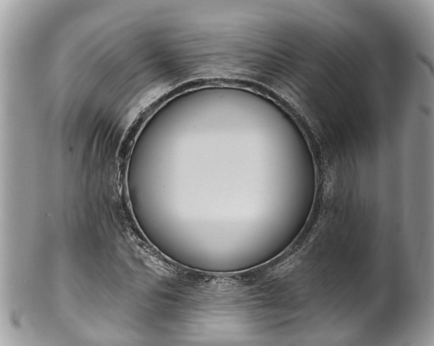 X0000102040974200807251410