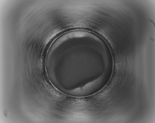 X0000102040975200807251410