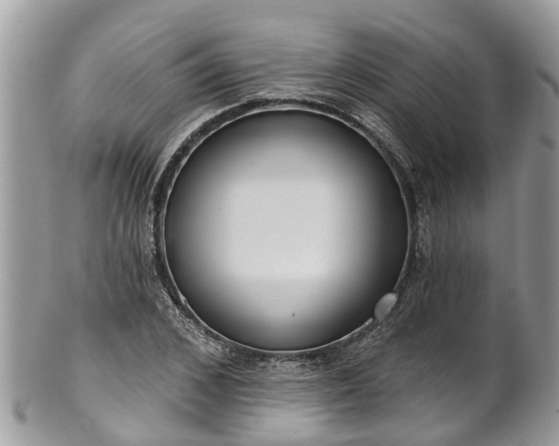 X0000102040976200807251410