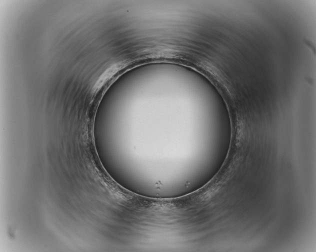 X0000102040978200807251410