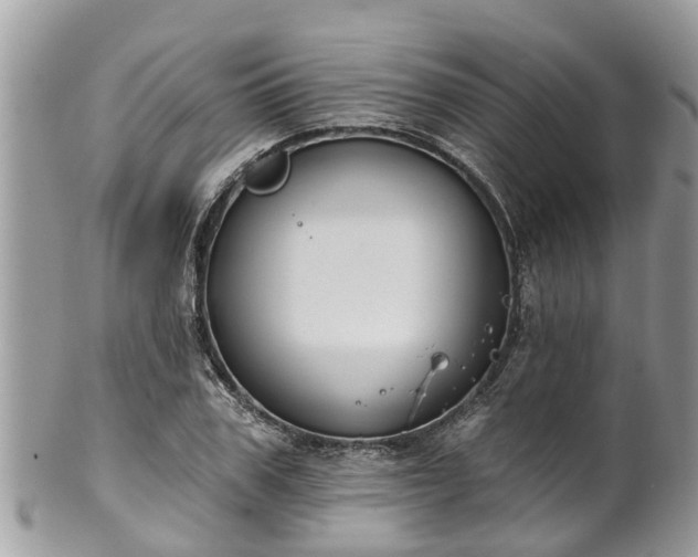 X0000102040979200807251410