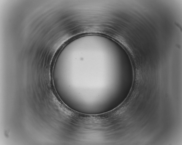 X0000102040980200807251410