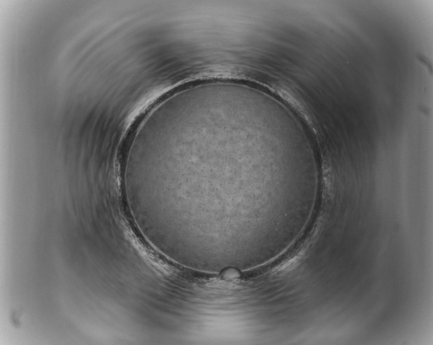 X0000102040981200807251410