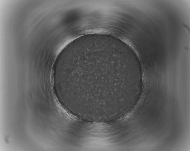 X0000102040983200807251410