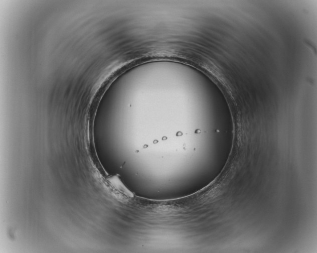 X0000102040984200807251410