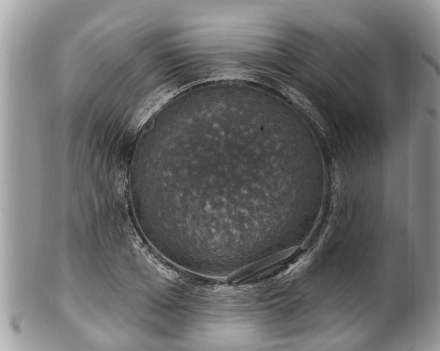 X0000102040985200807251410