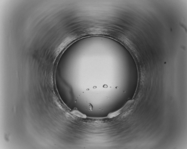 X0000102040986200807251410