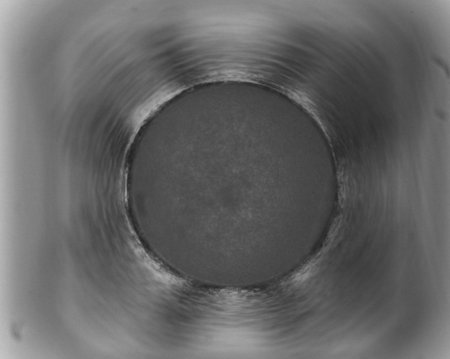 X0000102040987200807251410