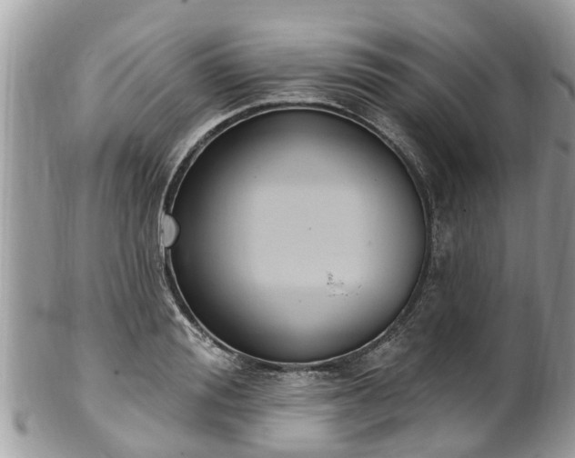 X0000102040988200807251410