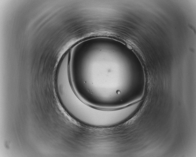 X0000102040989200807251410