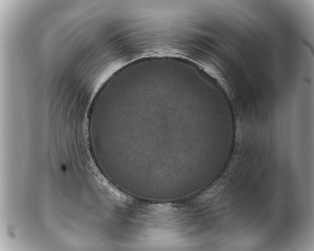 X0000102040990200807251410