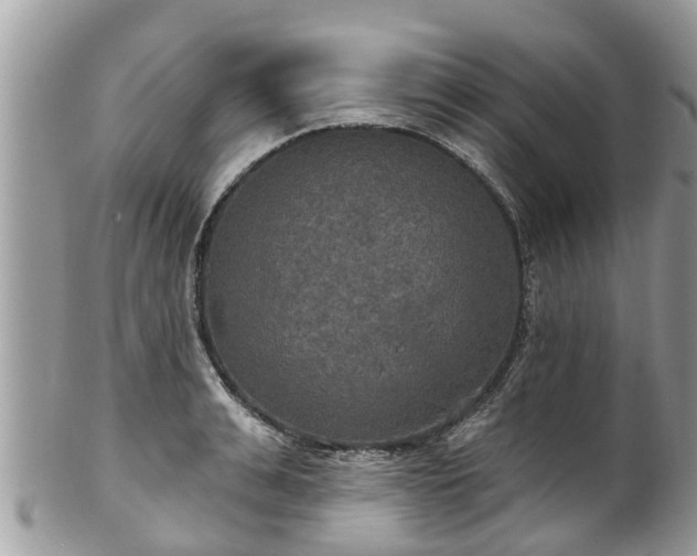 X0000102040991200807251410