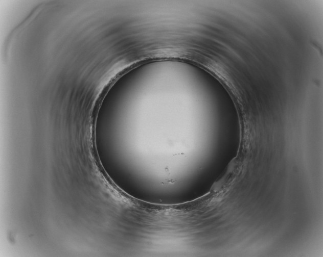 X0000102040992200807251410