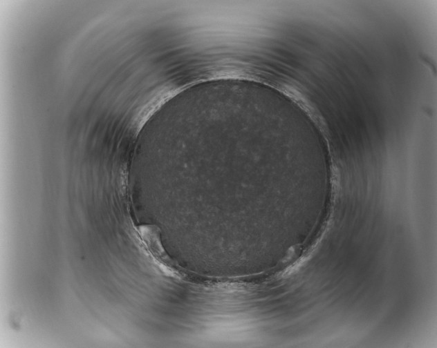 X0000102040993200807251410