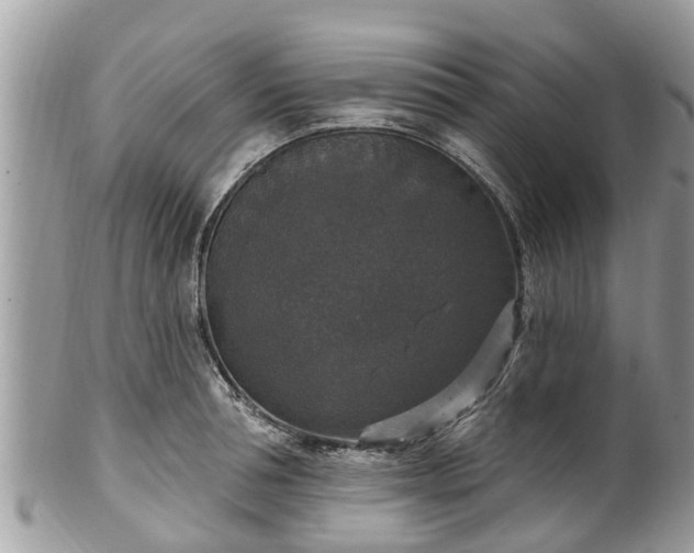 X0000102040994200807251410