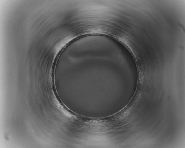 X0000102040995200807251410