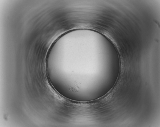 X0000102040996200807251410