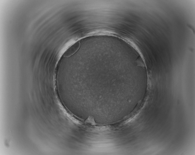 X0000102040997200807251410