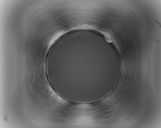 X0000102040998200807251410