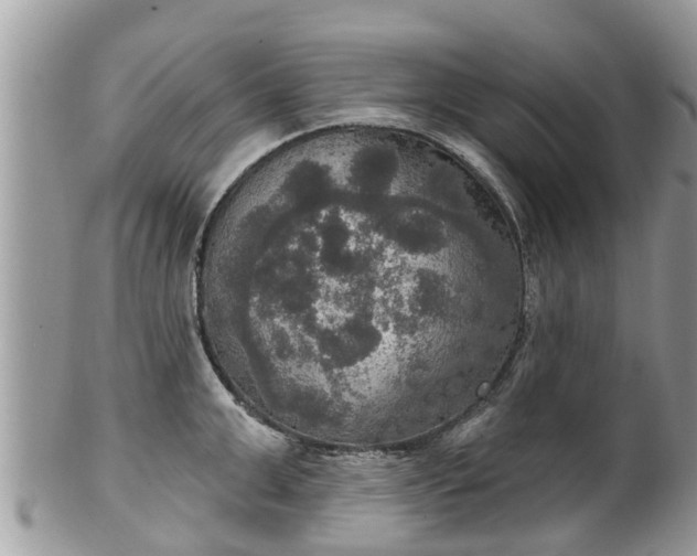 X0000102040999200807251410