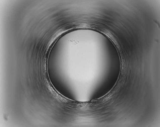 X0000102041000200807251410