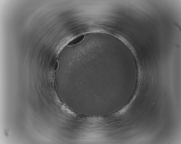 X0000102041001200807251410