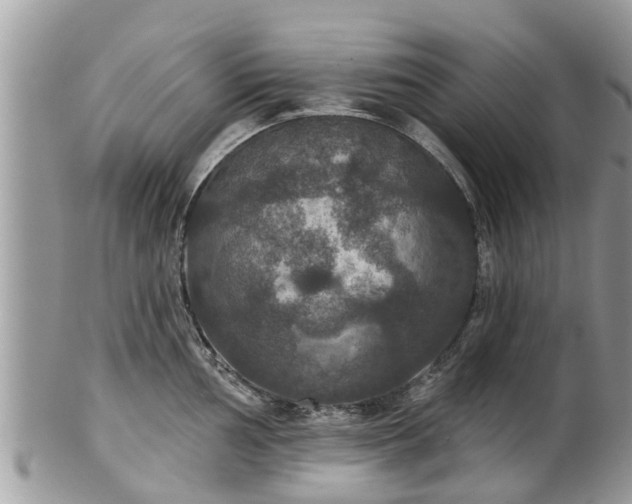 X0000102041002200807251410