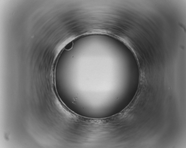 X0000102041003200807251410