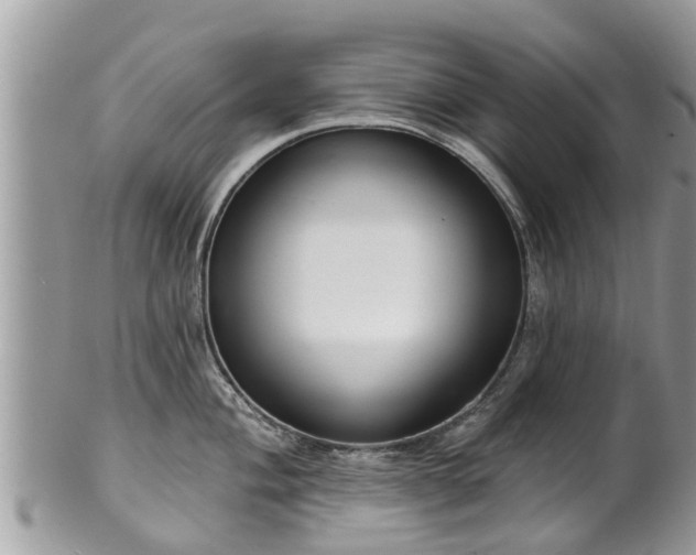 X0000102041004200807251410