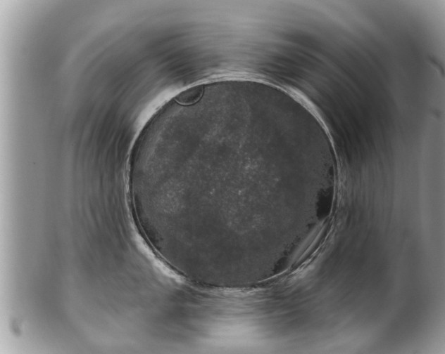 X0000102041005200807251410