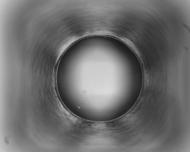 X0000102041006200807251410