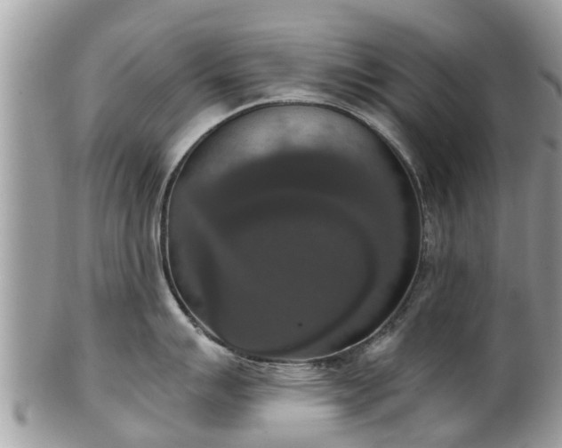 X0000102041007200807251410