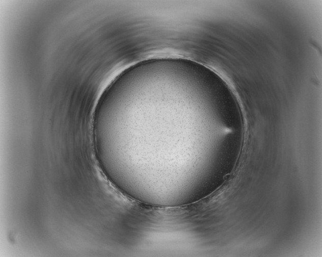 X0000102041008200807251410