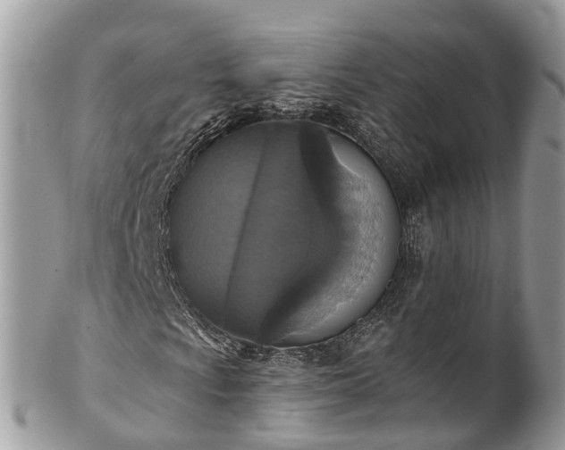 X0000102041009200807251409