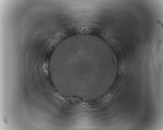 X0000102041010200807251409