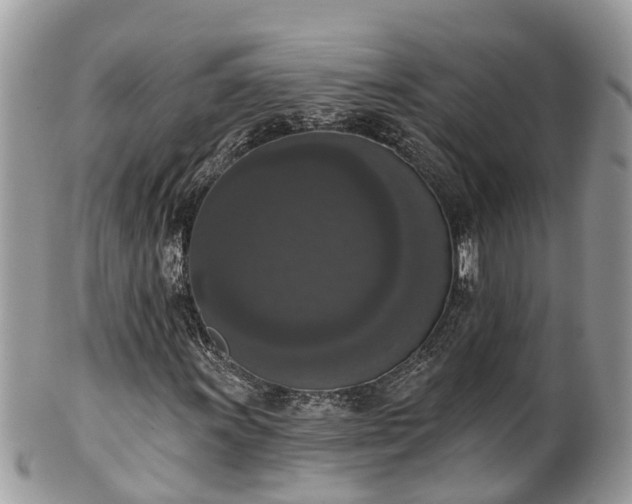 X0000102041011200807251409